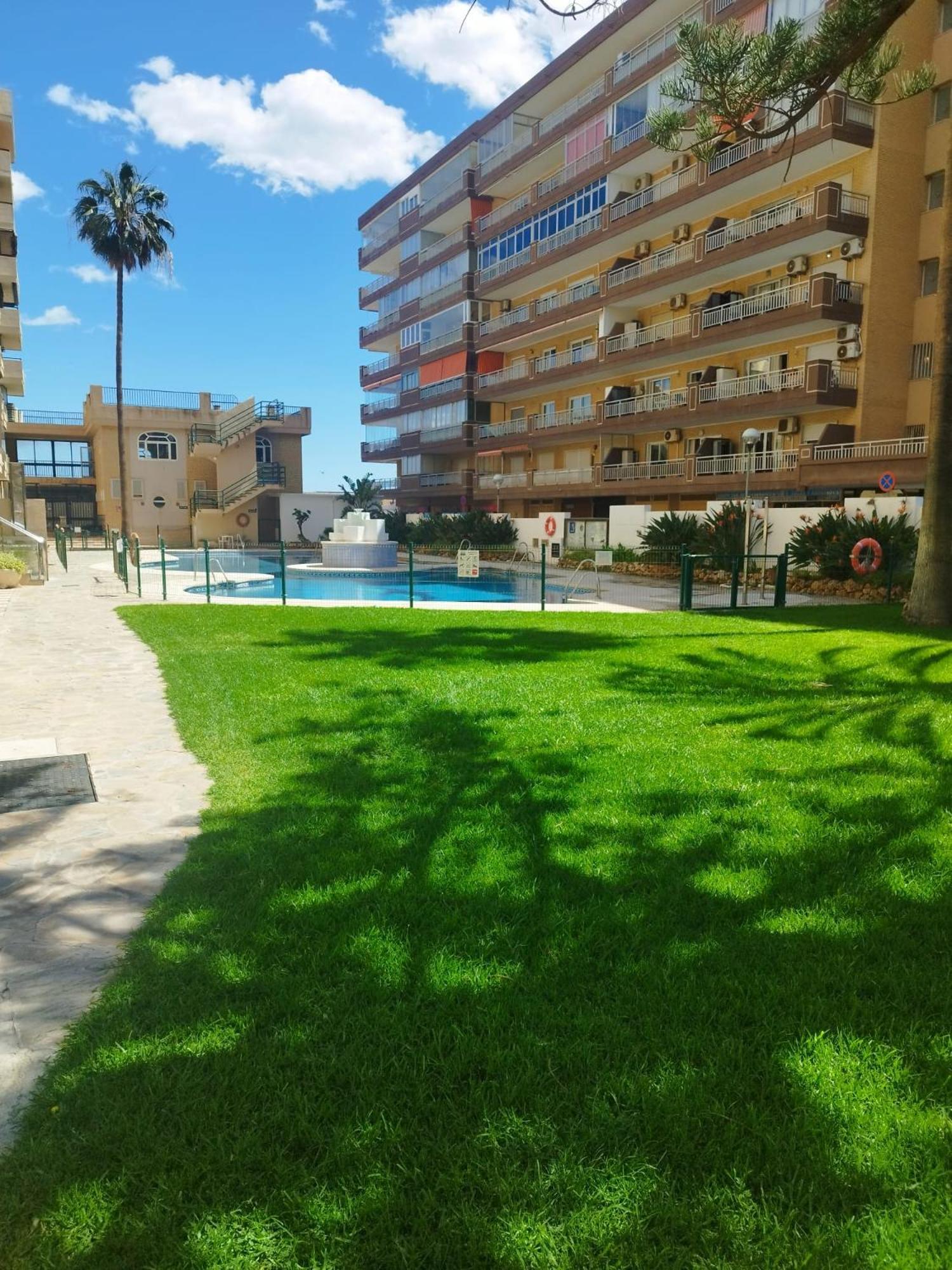 Familiarronda4 *